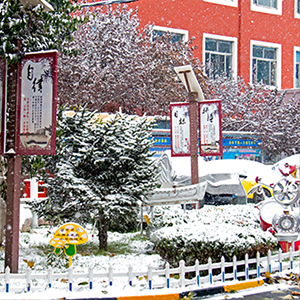 ɽ����ͨ����ѧԺѩ��