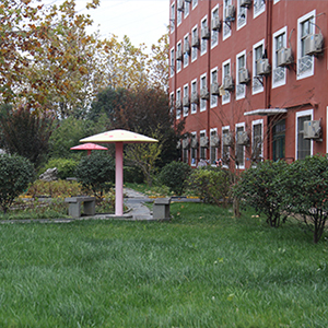 ɽ����ͨ����ѧԺ��԰