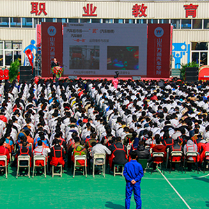 Ʒ������������